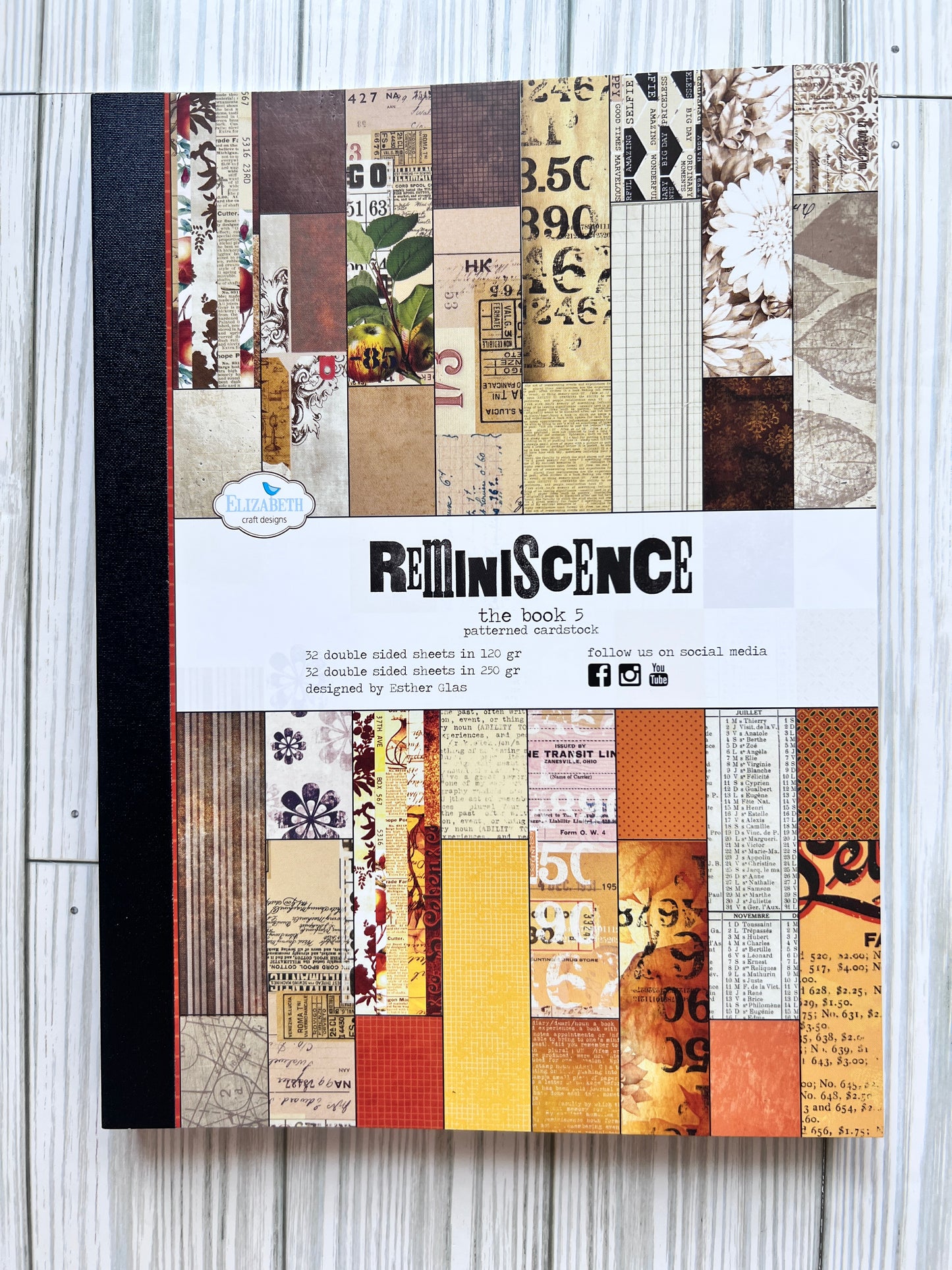 Reminiscence Book 5. Patterned Card Stock. Elizabeth Craft Designs